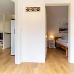 Kattrepel Kattstern